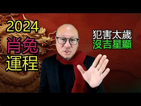 2024屬兔每月運勢|【2024 屬兔運程】免驚！2024年屬兔運勢全攻略 逆轉「諸事不順。